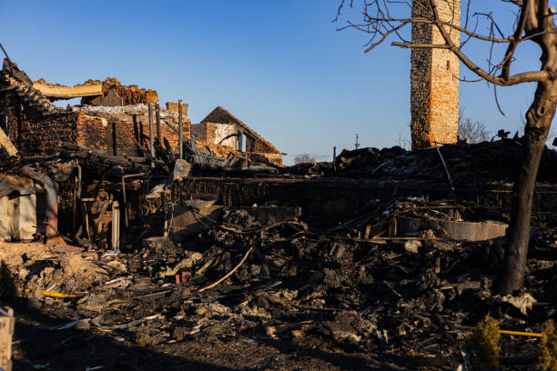 Reliable Board Up Services contractor in Largo, FL by Fire Damage Doption