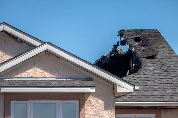 Top rated local Board Up Services specialists in Largo, FL